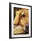 Stupell Industries Sight of Golden Retriever Framed Print Under Glass, design by George Dyachenko